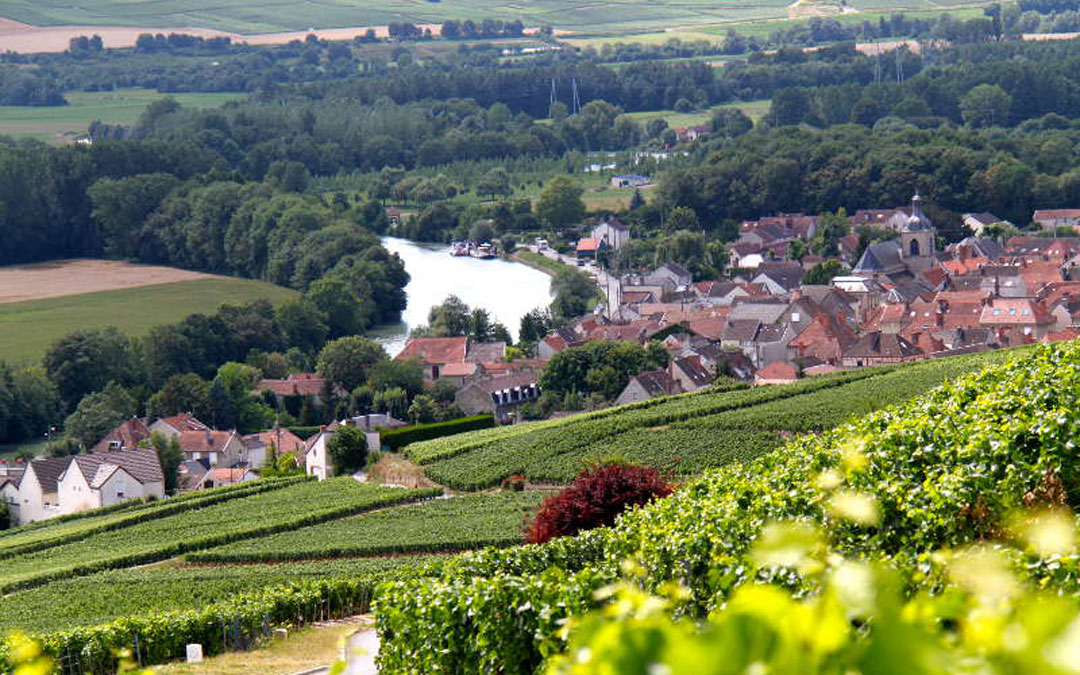 Vignobles et boucle de la Marne © Greeter2011
