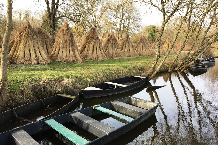 La Brière : le chaume à l’automne ©Andrea Klose