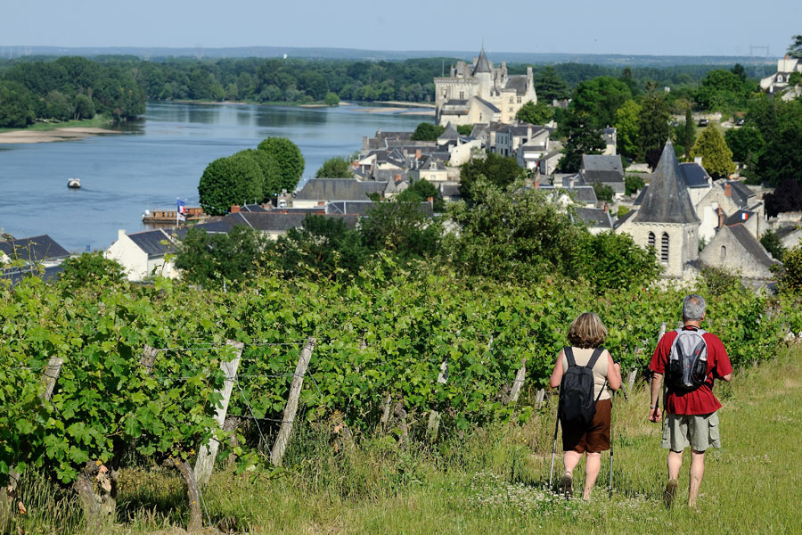 Vue sur Montsoreau © J-S Evrard
