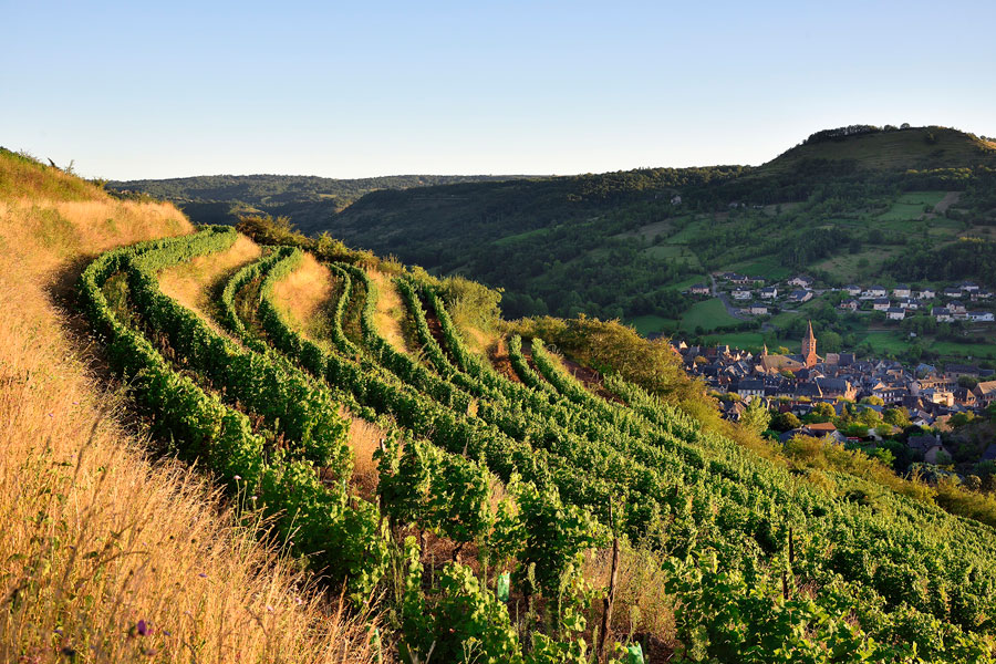 Marcillac et Vignes © G.Tordjeman2017PF-OTCM