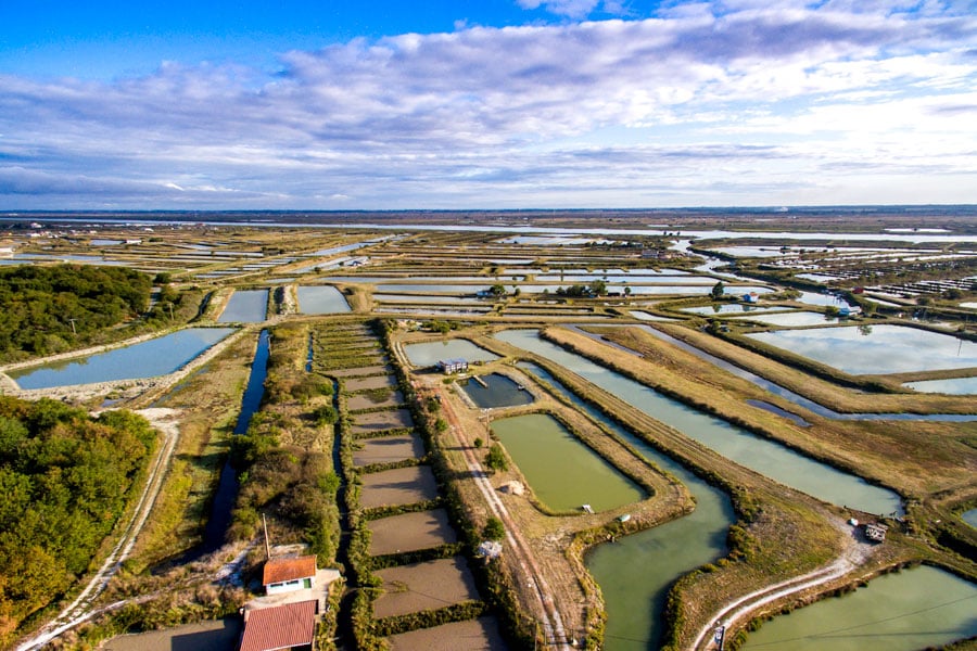 Les marais ostréicoles de la Seudre © Thierry Avan