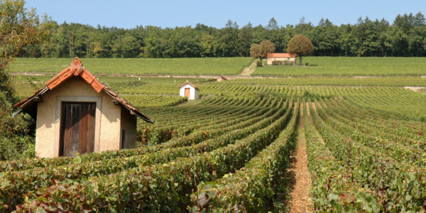 GREETERS COTE D’OR