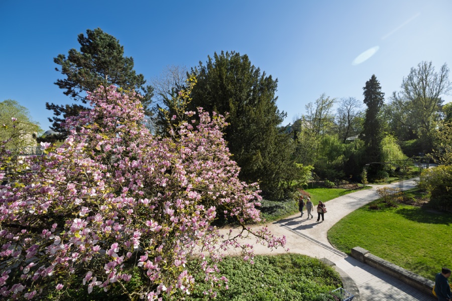 Jardin du musée de l’Ecole de Nancy © Nicolas Dohr